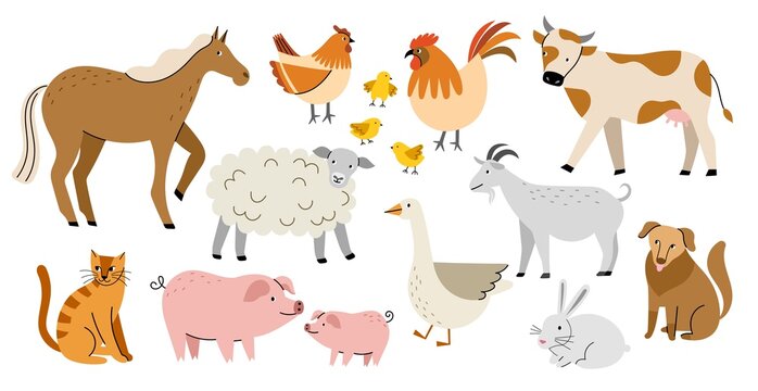 Cartoon farm animals. Cute horse, cow, dog, cat, funny domestic birds, hen, rooster and chickens, goose, pigs and sheep, country, vector set.jpg