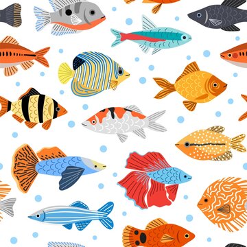Decorative little fishes. Aquarium underwater inhabitants, difference breeds, colorful floating creatures with fins, vector seamless pattern.jpg