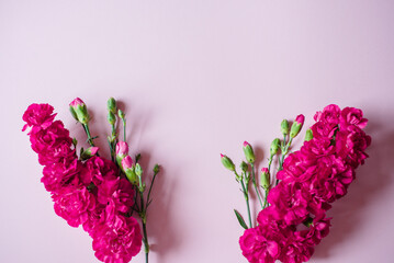 karta różowa z życzeniami, karta z kwiatami goździków