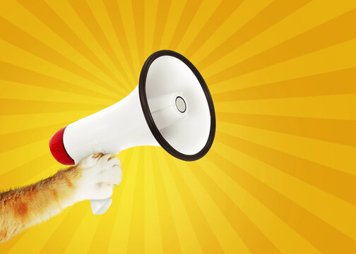 Attention concept. Cat paw holds loudspeaker, creative idea. Vintage