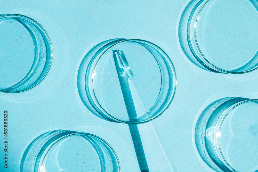 Wall mural Petri dish. A set of Petri cups. A pipette, glass tube. On a blue blue background.