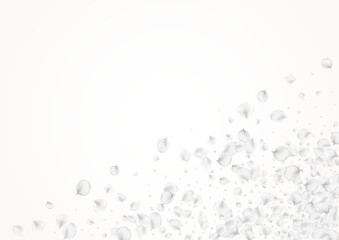 Delicate Blossom Vector Light Background. Pastel