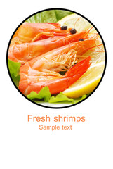 Fresh shrimps isolated