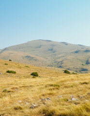 Fototapeta premium Top of Mountains in Galicica National Park, Macedonia.