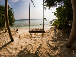 swing on a tropical beach summer fun