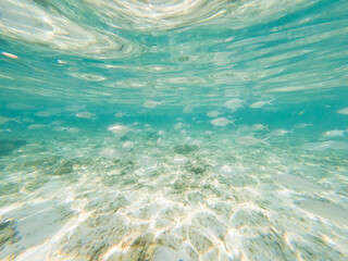 Fototapeta na wymiar abstract underwater background of clear blue tropical sea