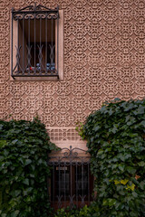 A wall decorated with bas-reliefs, windows with bars and bushy vines