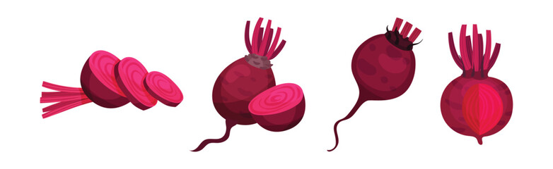 Beetroot or Red Beet Whole and Sliced Crop Vector Set