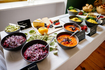 Vegetarisches Buffet mit Käseplatte, Tomaten Salsa, Rote Beete Salat, Humus und Kräuterbutter