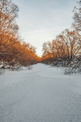 Fototapeta premium winter landscape in the countryside