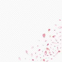 Red Apple Vector Transparent Background. Confetti