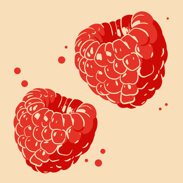 Colored vector illustration of  rasberry. For cosmetic package design, medicinal herb, treating, half care, prints. Design element  for fabric, textile, clothing, wrapping paper, wallpaper
