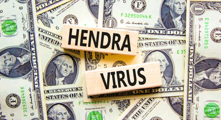 Hendra virus symbol. Concept words Hendra virus on wooden block. Beautiful background from dollar bills. Dollar bills. Medical hendra virus concept. Copy space.