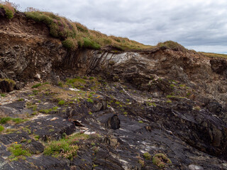 Rocky soil covered with dense wild vegetation. Cloudy sky over a rocky cliff.