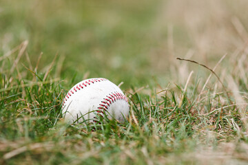 A concept baseball ball in nature in the park on the field