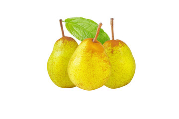Rocha pear three whole fruits isolated transparent png. Yellow green spotted pears and green leaf.