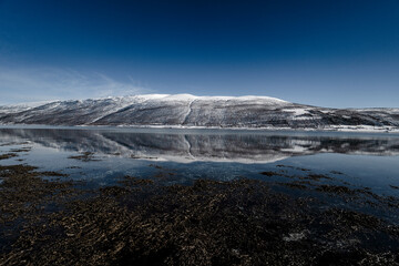 Fototapeta na wymiar beautiful reflection of snowy mountain on the sea in tromso, norway