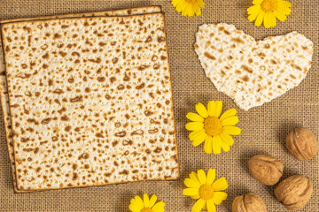 Matzah, yellow daisy, walnuts for Jewish holiday Pesach on cotton fabric background.