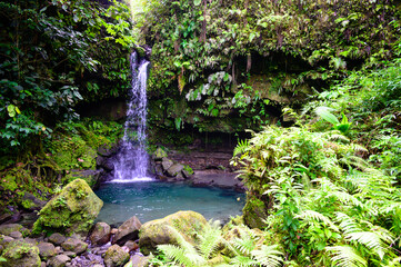 A swimmer enjoying Emerald Pool in the lush rain forest, the waterfall is a beautiful jewel of Dominica in the Caribbean