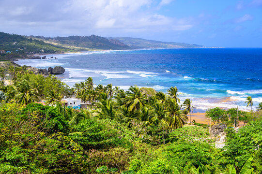 Rock formation on the beach of Bathsheba, East coast of island Barbados, paradise beach and coast of caribbean island