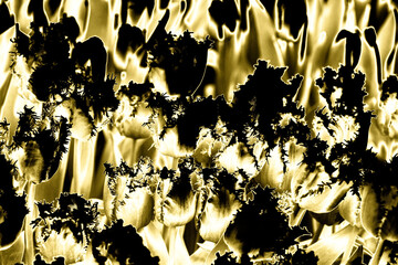 Illustration. Graphic processing of a photo. Black silhouettes of tulips on a soft golden background. Texture, background, element for web design.