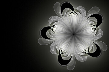 3D illustration. Fractal. Abstract image. White flower on the right on a black background. There is a place to write. Graphic element, background, texture for web design.