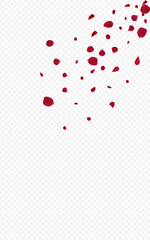 Pink Sakura Tender Vector Transparent Background.