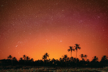 Goa, India. Amazing Night Bright Orange Sky Glowing Stars Background Backdrop With Sky Gradient....