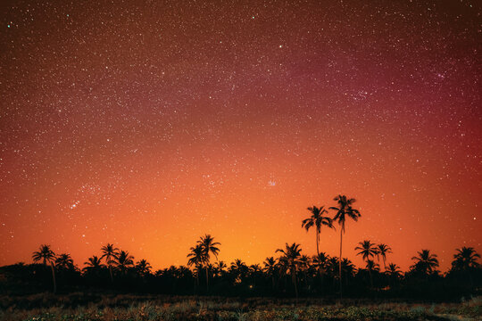 Goa, India. Amazing Night Bright Orange Sky Glowing Stars Background Backdrop With Sky Gradient. Coconut Trees Palms Landscape. Colorful Night Starry Sky Gradient. Bright Yellow And Orange Colors.