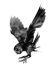 an owl bird drawn on a white background