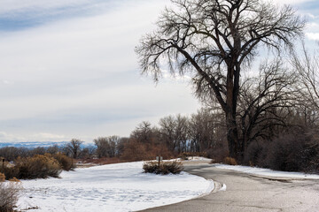 Winter landscape in western Colorado near Grand Junction with snow