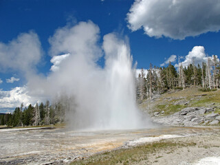 Yellowstone National Park, USA