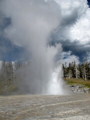 Yellowstone National Park, USA