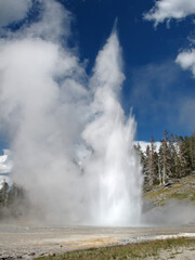 Fototapeta premium Yellowstone National Park, USA