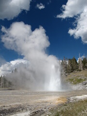 Yellowstone National Park, USA