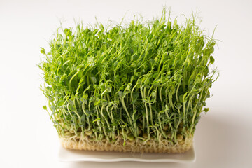 Sprouted pea sprouts, microgreens in a white rectangular plate on a white