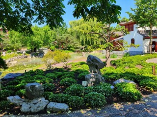 Flowers all over the world