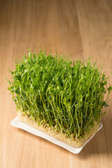 Sprouted pea sprouts, microgreens in a rectangular plate on a wooden table