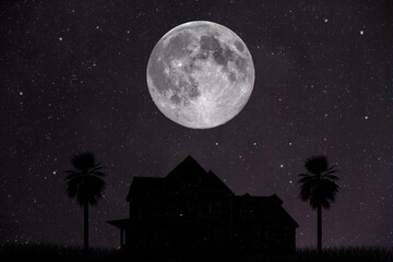 Fototapeta na wymiar silhouette of a house with a full moon and trees