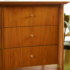Mid-century modern wooden dresser. Vintage furniture close-up detail of drawers with a houseplant.