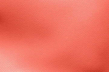 Closeup view of coral leather texture