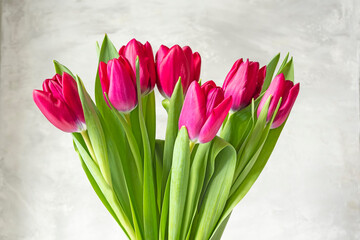 Bouquet of red tulips on a light background
