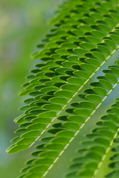 Mariia photos, images, assets | Adobe Stock