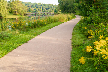 Outdoor Walking Path in a Park During Summer