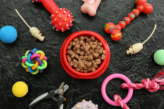 Composition with bowl of wet food and pet care accessories on dark background