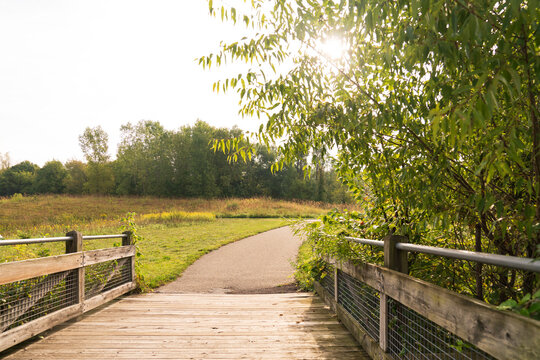 Outdoor walking path in a park during summer