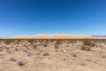 Sand dunes in the distance
