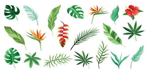 Fototapeta premium Exotic leaves set. Collection of branches and plants from jungle. Red and yellow flowers. Modern botanical foliage, palm leaves. Cartoon flat vector illustrations isolated on white background
