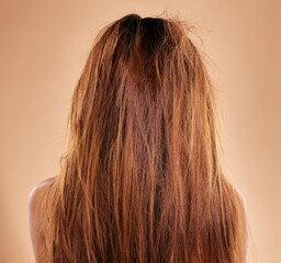 Messy, damaged hair and back of a woman in a studio with a brittle frizzy hairstyle before a treatment. Dirty, dry and female model with long, tangled and knot texture isolated by a brown background.