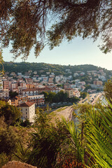 View of the city of Agropoli from the hillside.